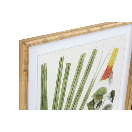 Bild DKD Home Decor 50 x 2,8 x 70 cm Moderne Botanische Pflanzen (6 Stücke)