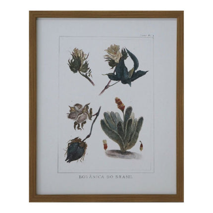 Bild DKD Home Decor 43 x 3 x 53 cm Botanische Pflanzen (4 Stücke)