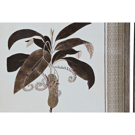Bild DKD Home Decor 55 x 2,5 x 70 cm Moderne Botanische Pflanzen (6 Stücke)