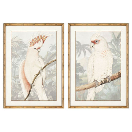 Bild DKD Home Decor Papagei Tropical 50 x 3 x 70 cm (2 Stück)