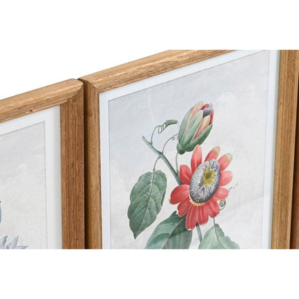 Bild DKD Home Decor 40 x 2 x 50 cm Shabby Chic Botanische Pflanzen (9 Stück)