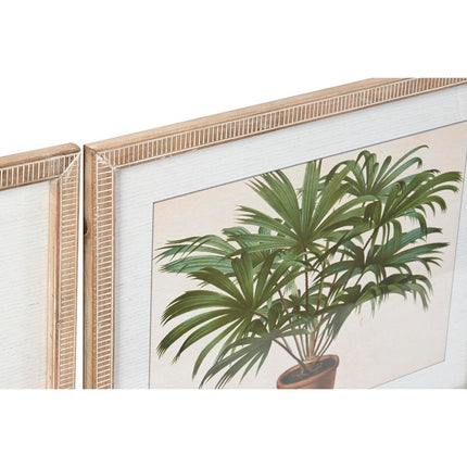Bild DKD Home Decor 65 x 2 x 50 cm Palmen Tropical (4 Stücke)