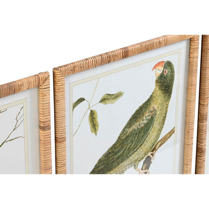 Bild DKD Home Decor 50 x 2,5 x 60 cm Tropical Vögel (4 Stücke)