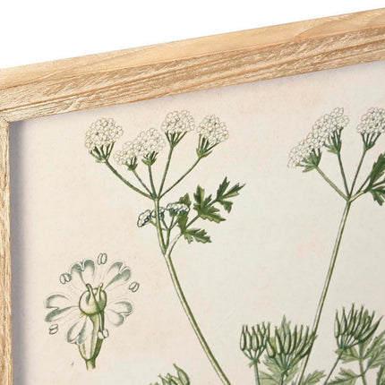 Bild DKD Home Decor Tanne Kristall 40 x 2 x 60 cm Botanische Pflanzen (6 Stücke)