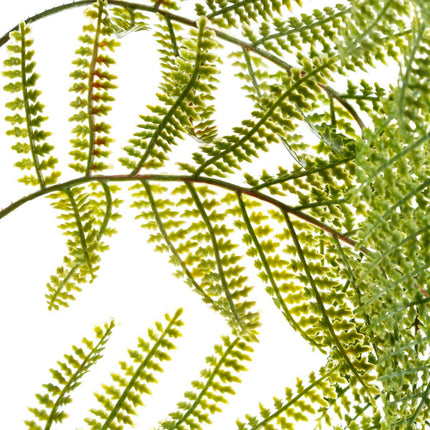 Zweig PVC Eisen 36 x 114 cm