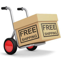 FREE SHIPPING