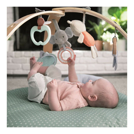 Spielplatz Ingenuity Reversibel