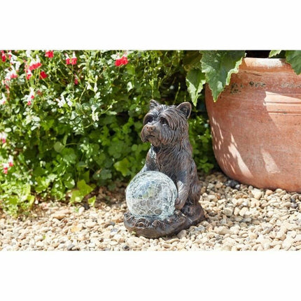 Solarlampe dog