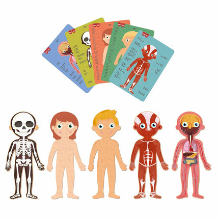 Puzzle Apli Human Body 240 Stücke