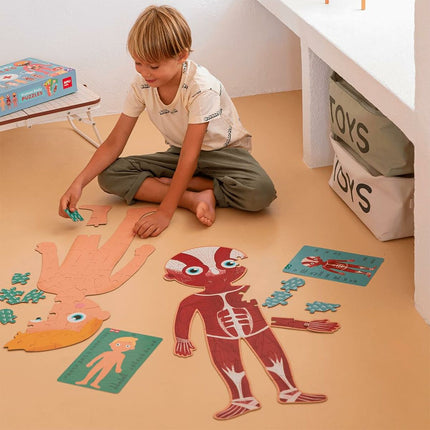 Puzzle Apli Human Body 240 Stücke