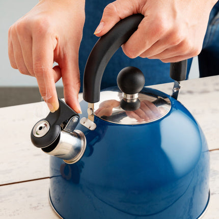 Wasserkocher Quid Edelstahl (2 L)