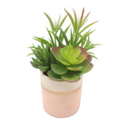 Dekorationspflanze Versa aus Keramik Kunststoff 12,7 x 15,75 x 12,7 cm