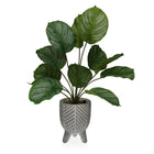 Dekorationspflanze Versa Zement Kunststoff 15 x 47 x 15 cm