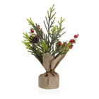 Dekorationspflanze Versa Leinen Metall Kunststoff Zement 13 x 32 x 13 cm
