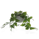 Dekorationspflanze Versa Metall polystyrol Kunststoff Zement 22 x 37 x 20 cm