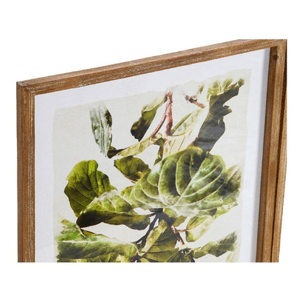 Bild DKD Home Decor Plants 50 x 2,5 x 70 cm Pflanzenblatt (2 Stück)