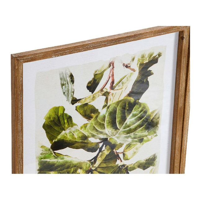 Bild DKD Home Decor Plants 50 x 2,5 x 70 cm Pflanzenblatt (2 Stück)