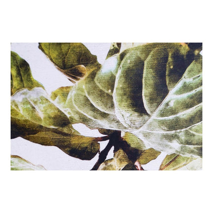 Bild DKD Home Decor Plants 50 x 2,5 x 70 cm Pflanzenblatt (2 Stück)
