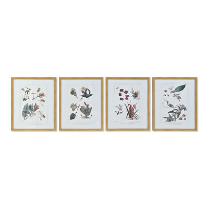 Bild DKD Home Decor 43 x 3 x 53 cm Botanische Pflanzen (4 Stücke)