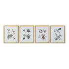 Bild DKD Home Decor 43 x 3 x 53 cm Botanische Pflanzen (4 Stücke)