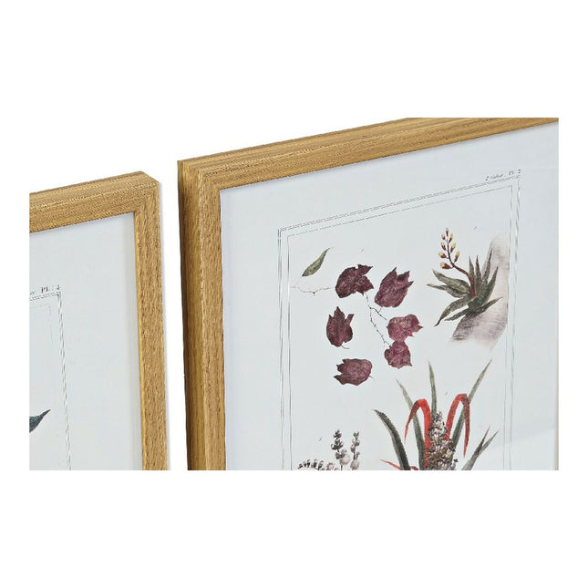 Bild DKD Home Decor 43 x 3 x 53 cm Botanische Pflanzen (4 Stücke)