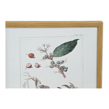 Bild DKD Home Decor 43 x 3 x 53 cm Botanische Pflanzen (4 Stücke)