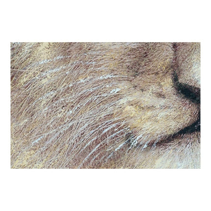 Bild DKD Home Decor Löwe 100 x 3 x 100 cm Kolonial (2 Stück)