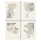 Bild DKD Home Decor 55 x 2,5 x 70 cm Blomster Romantisch (4 Stücke)