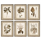 Bild DKD Home Decor 55 x 2,5 x 70 cm Moderne Botanische Pflanzen (6 Stücke)