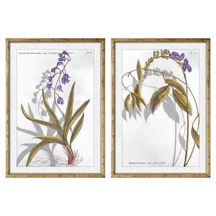 Bild DKD Home Decor 50 x 2 x 70 cm Moderne Botanische Pflanzen (2 Stück)