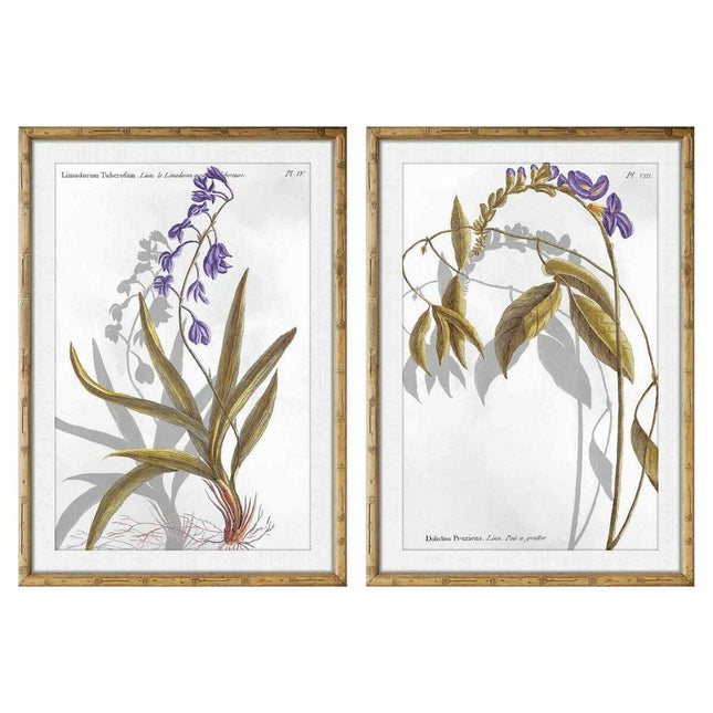 Bild DKD Home Decor 50 x 2 x 70 cm Moderne Botanische Pflanzen (2 Stück)