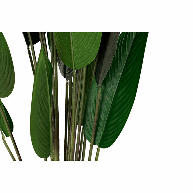 Dekorationspflanze DKD Home Decor 50 x 50 x 160 cm Polyäthylen grün Paradiesvogelblume Urban