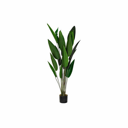 Dekorationspflanze DKD Home Decor 50 x 50 x 160 cm Polyäthylen grün Paradiesvogelblume Urban