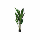 Dekorationspflanze DKD Home Decor 50 x 50 x 160 cm Polyäthylen grün Paradiesvogelblume Urban