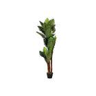 Dekorationspflanze DKD Home Decor 40 x 40 x 150 cm Polyäthylen grün Palme Urban