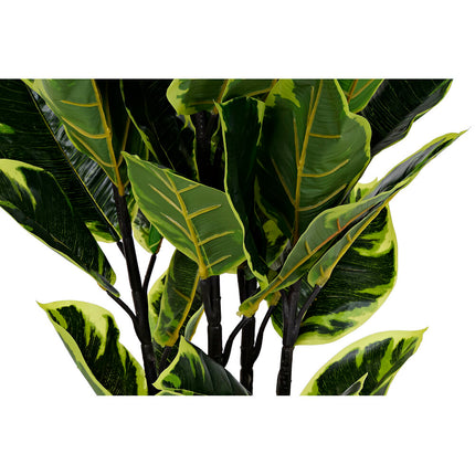 Dekorationspflanze DKD Home Decor grün PE (40 x 40 x 90 cm)