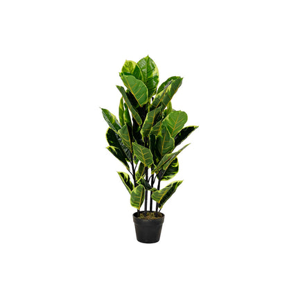 Dekorationspflanze DKD Home Decor grün PE (40 x 40 x 90 cm)