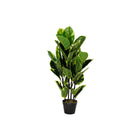 Dekorationspflanze DKD Home Decor grün PE (40 x 40 x 90 cm)