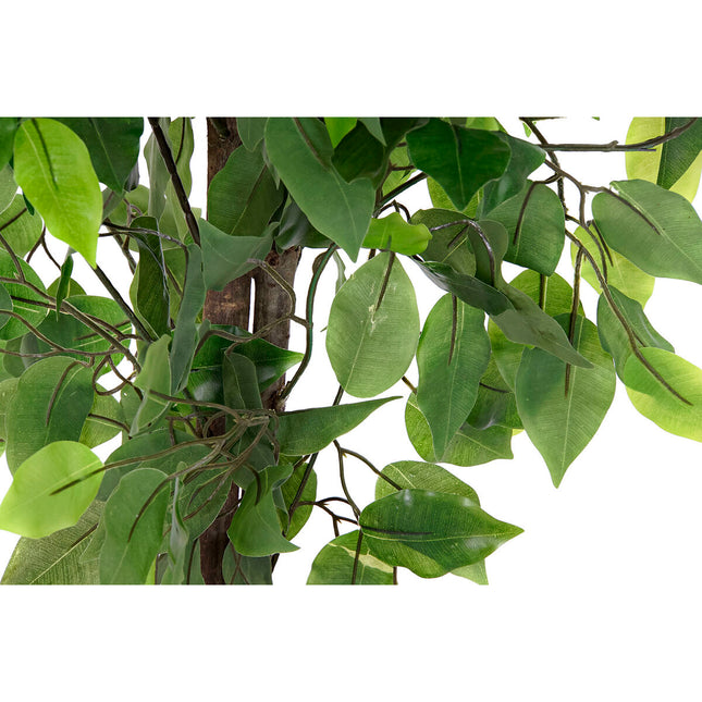 Dekorationspflanze DKD Home Decor 50 x 50 x 90 cm Metall Polyäthylen grün 30 x 40 cm Ficus Urban