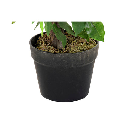 Dekorationspflanze DKD Home Decor 50 x 50 x 90 cm Metall Polyäthylen grün 30 x 40 cm Ficus Urban