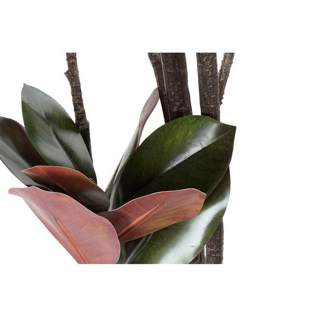 Baum DKD Home Decor Polyester PP Magnolie (75 x 75 x 180 cm)