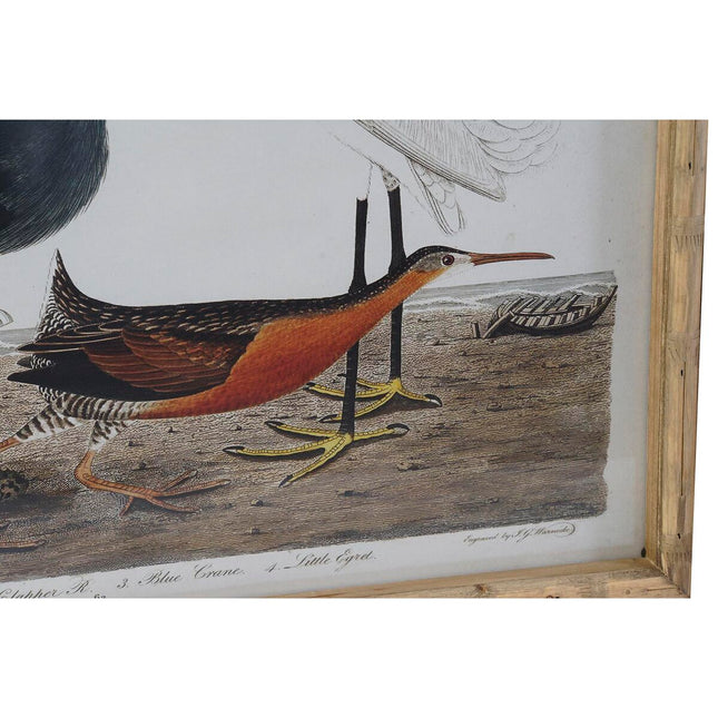 Bild DKD Home Decor 60 x 2,8 x 45 cm Vögel Moderne (4 Stücke)