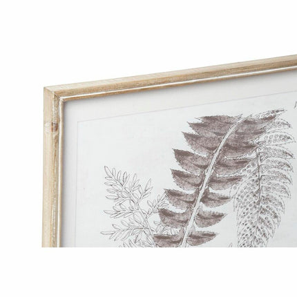 Bild DKD Home Decor 50 x 2,5 x 70 cm Moderne Botanische Pflanzen (8 Stücke)