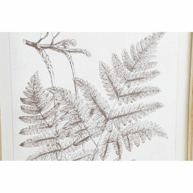 Bild DKD Home Decor 50 x 2,5 x 70 cm Moderne Botanische Pflanzen (8 Stücke)