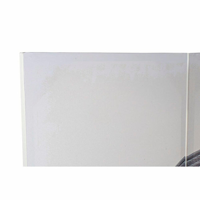 Spanische Wand DKD Home Decor Leinwand Kiefer (120 x 2,5 x 180 cm)