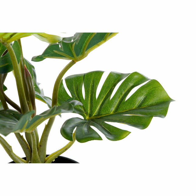 Dekorationspflanze DKD Home Decor Schwarz grün PVC PP (20 x 20 x 30 cm)