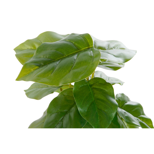 Dekorationspflanze DKD Home Decor Schwarz grün PVC Polypropylen 20 x 20 x 30 cm