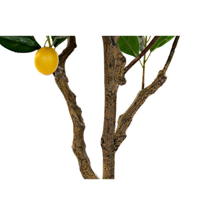 Baum DKD Home Decor Zitronenbaum Polyester (74 x 74 x 150 cm)