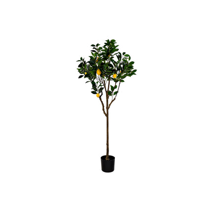 Baum DKD Home Decor Zitronenbaum Polyester (74 x 74 x 150 cm)
