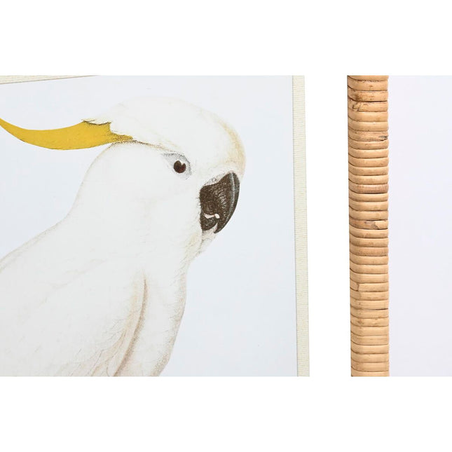 Bild DKD Home Decor 50 x 2,5 x 60 cm Tropical Vögel (4 Stücke)